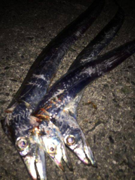 回復を期待して行きましたが……..