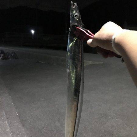 エギング＆アジング