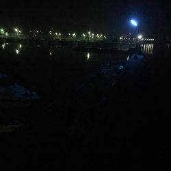 どちゃ濁りのエギング