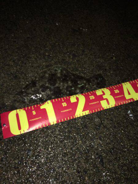 ルアーフィッシング