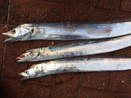 人混みの中で朝練