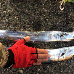 マイポイントで刀狩り