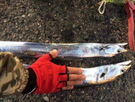 マイポイントで刀狩り