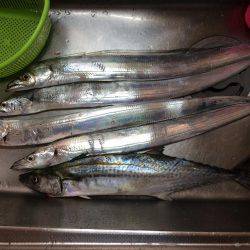 マイポイントで朝練