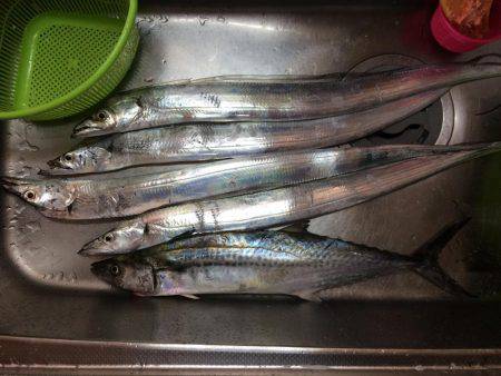 マイポイントで朝練