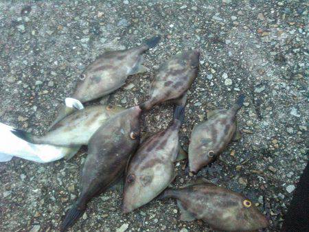 仕事を休んでの釣り　後編