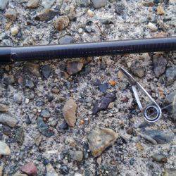 ちっちゃいタコだけ