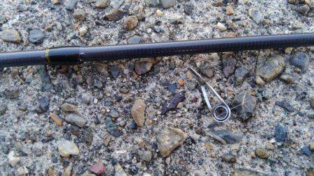 ちっちゃいタコだけ