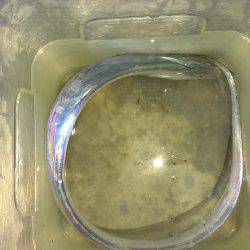 タチウオワインド