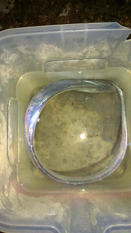 タチウオワインド