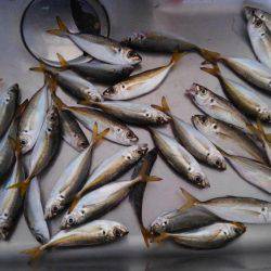 のませのはずが…