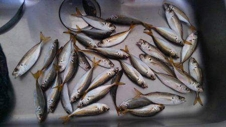 のませのはずが…