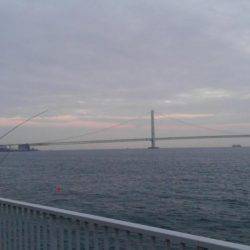 だめだめでしたー