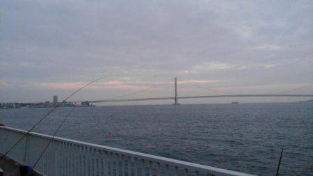 だめだめでしたー