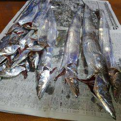 F4.5来た！そして、タチウオ18匹♪