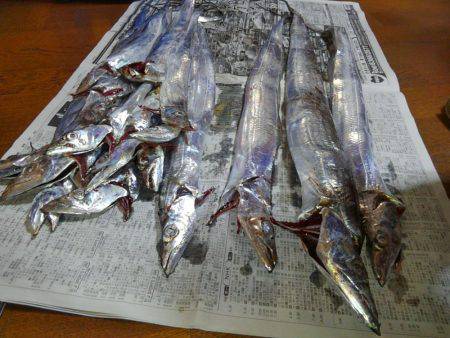 F4.5来た！そして、タチウオ18匹♪