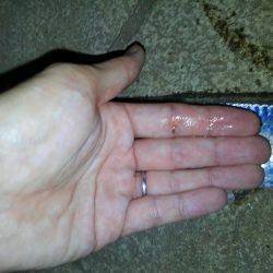 タチウオ遊び♪