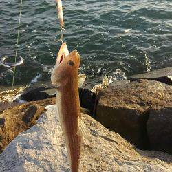 たかがフックされどフック