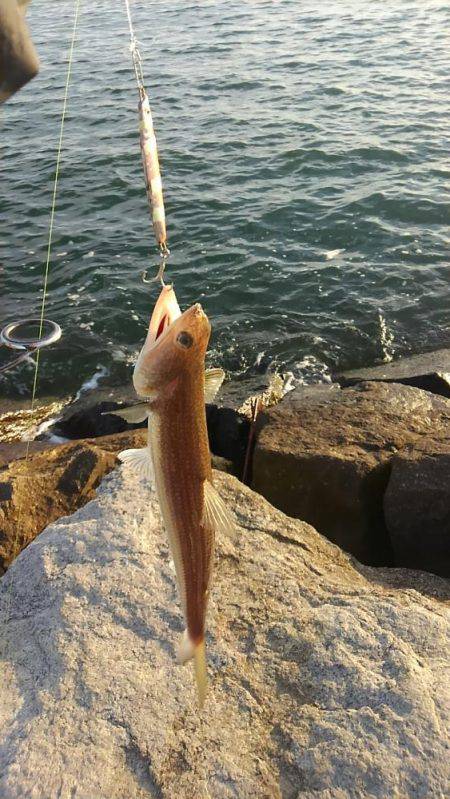 たかがフックされどフック