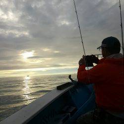 タルイカ狙うも…