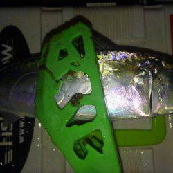 レギュラーサイズですが