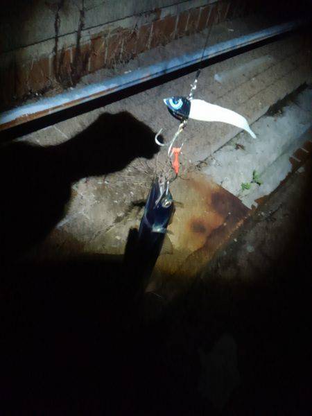 タチウオ二桁達成！