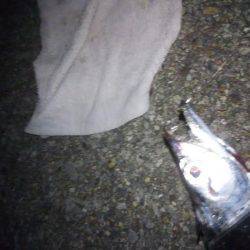 タチウオ浮き釣り