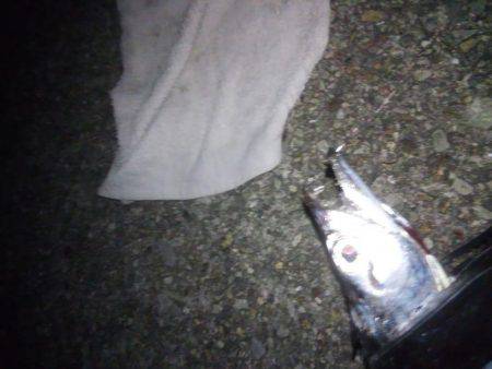 タチウオ浮き釣り