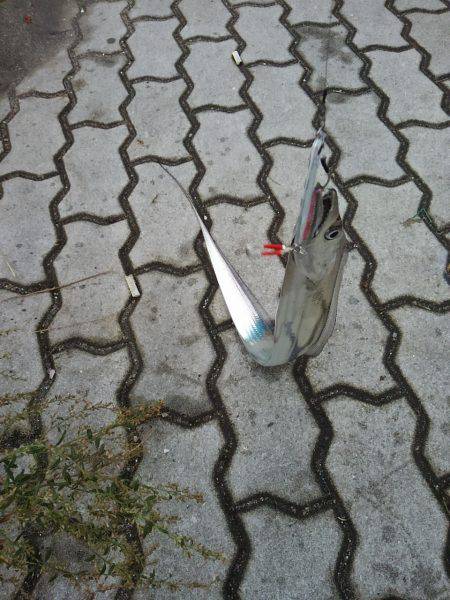 ジグでタチウオ