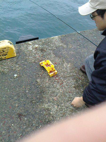 あじ　カワハギ　子メジナ