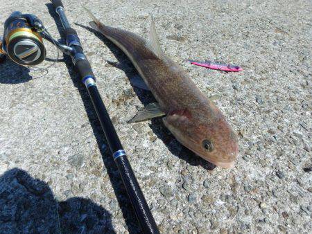 なんとかボウズ逃れ