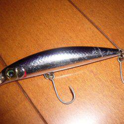 夕方に少し攻めて