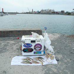 近場の明石港に釣行しました