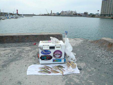 近場の明石港に釣行しました