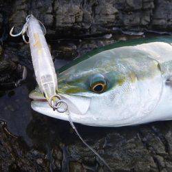 強風でしたが。。。