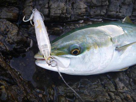 強風でしたが。。。