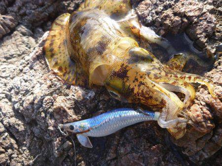 デイエギングでキロアップ♪