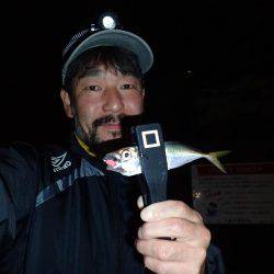 激濁りの舞洲アジング