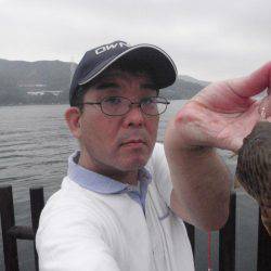 20cmのイワシが釣れます