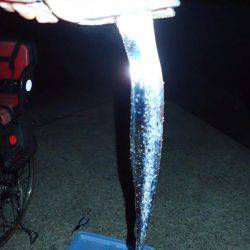 人生初タッチー