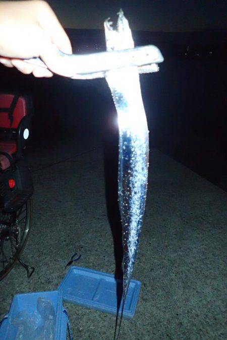 人生初タッチー