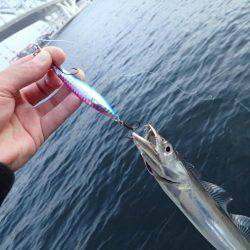 夜練 タチウオ！