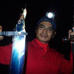 安定の太刀魚♪