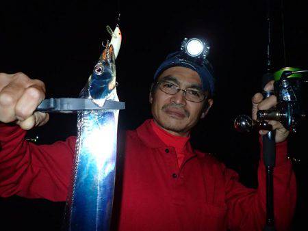 安定の太刀魚♪