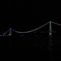 マイワシ釣れました！