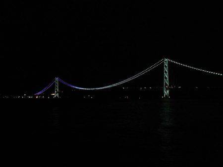 マイワシ釣れました！