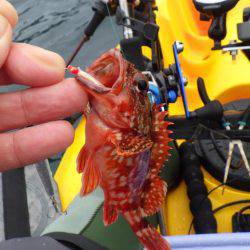 ジギング、エギング、タイラバなどなど