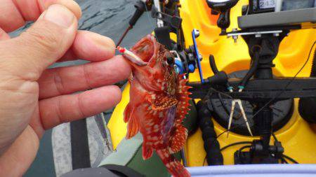 ジギング、エギング、タイラバなどなど