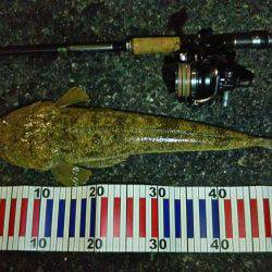 台風後の波立つサーフにて