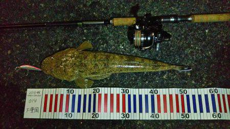 台風後の波立つサーフにて